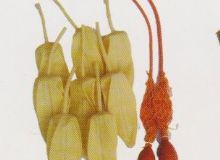 點擊查看詳細信息<br>標題：取氣樣球膽 閱讀次數(shù)：187